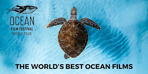 Ocean Film Festival - Abingdon - 9 October 2026 | Amey Theatre