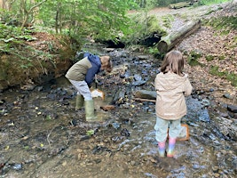 Free Summer Family Activities: Water Detectives - Tunbridge Wells | Grosvenor & Hilbert Park