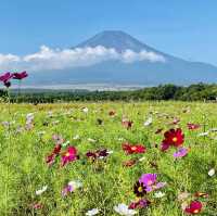 【山梨】山中湖 花の都公園