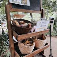 Elefin Farm & Cafe เอเลฟิน ฟาร์ม แอนด์ คาเฟ่