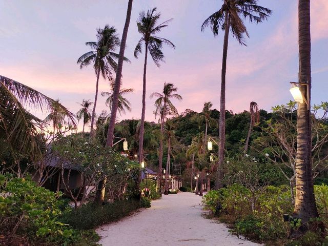 SAii PhiPhi IslandVillage ฟิลลิ่งอยู่บนเกาะส่วนตัว SAii PhiPhi IslandVillage ฟิลลิ่งอยู่บนเกาะส่วนตัว