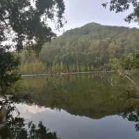 流水響至鶴藪鳳園山遊樂