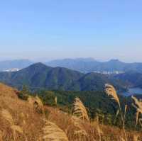 夢之大帽山