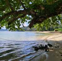 ชายหาดสีขาว เงียบสงบ ไม่ไกลจากป่าตอง