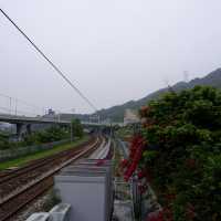 挑戰60公里屯馬單車線 