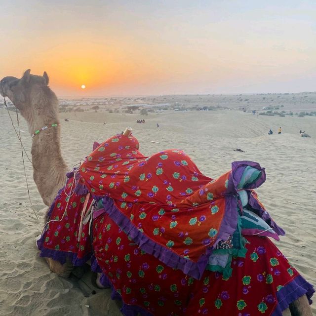 Jaisalmer 