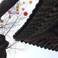 4월, 선명한 꽃들이 만발한 운현궁 