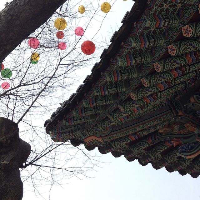 4월, 선명한 꽃들이 만발한 운현궁 