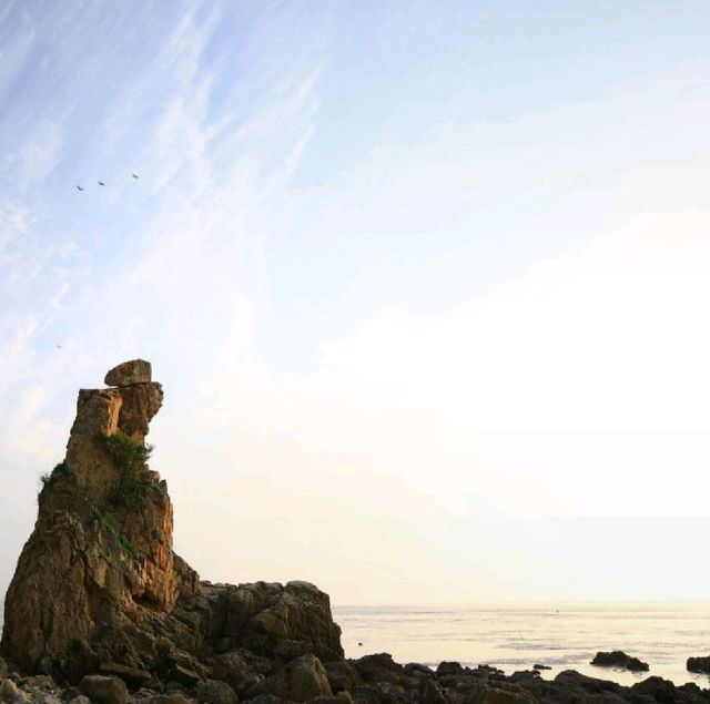 영광 백수해안