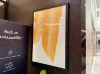 Mixbag collection of art