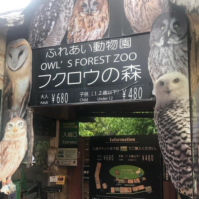 由布院貓頭鷹之森😎😎