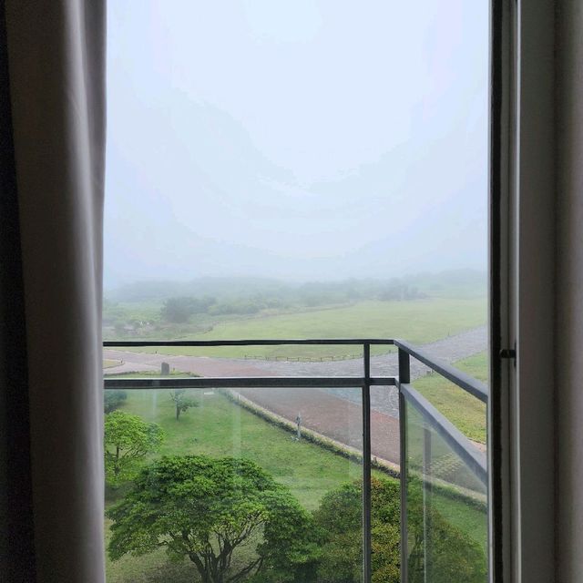 🏨 섭지코지를 품은 리조트, 휘닉스 제주