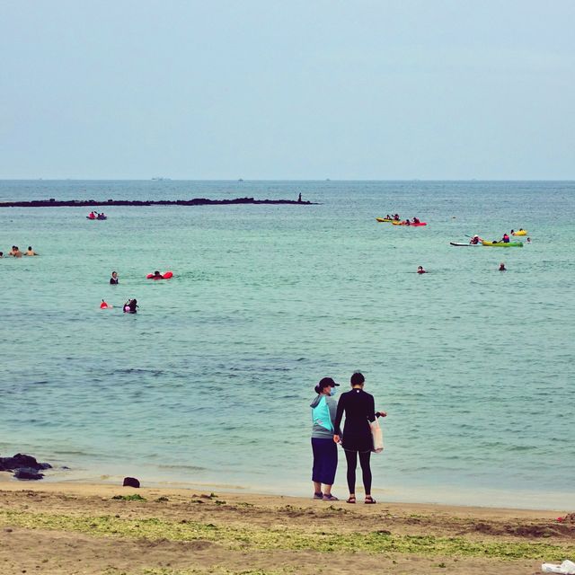 🏄 해수욕도 좋고~ 서핑도 좋고~ 하도해수욕장