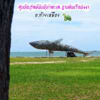 พาครอบครัวไปดูเต่าทะเล