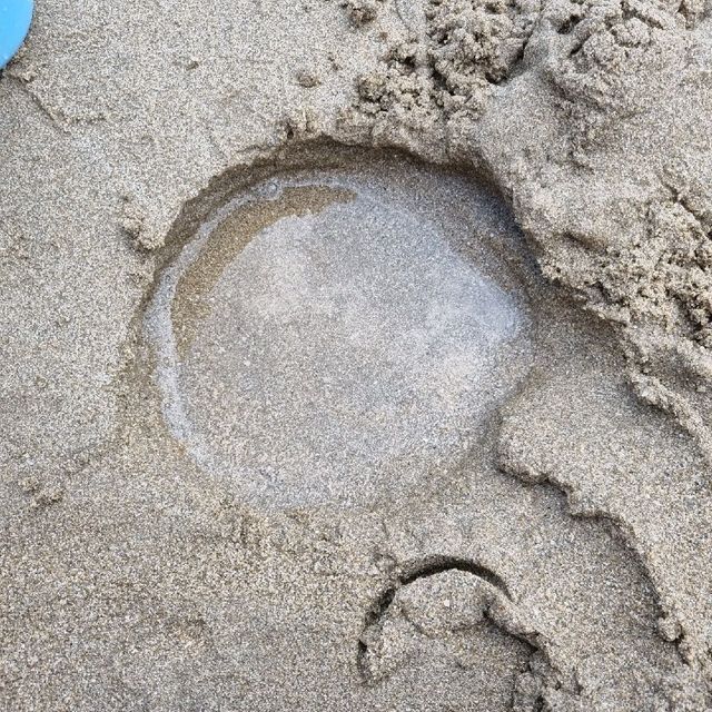 경남 사천 바다 '남일대 해수욕장'