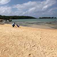 沖縄県石垣島 由布島水牛