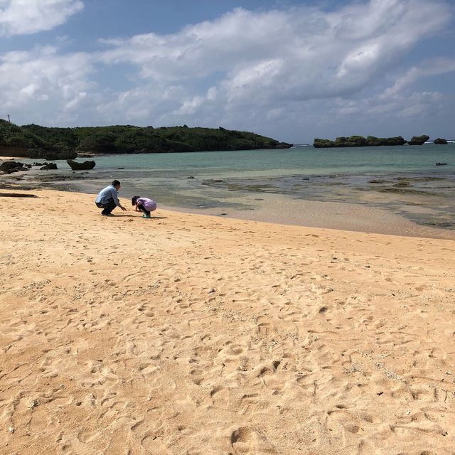 沖縄県石垣島 由布島水牛