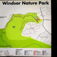 The Windsor Nature Park In Singapore