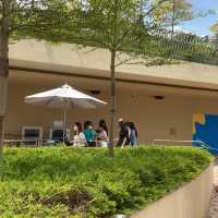 由朝玩到閉館嘅香港海洋公園水上樂園