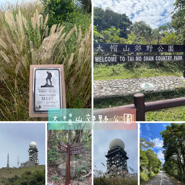 香港🇭🇰郊遊樂大帽山郊野公園‼️飽覽香港🇭🇰美景