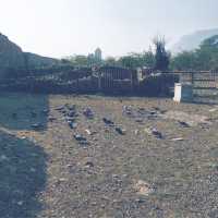 Bhangarh Fort : Most Haunted Place in India 