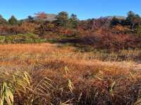 【青森】穴場の紅葉スポット🍁睡蓮沼
