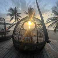 หนีงานมาติดเกาะสมุย