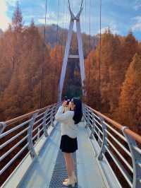 가을에 꼭 가야하는 장태산자연휴양림 🍁
