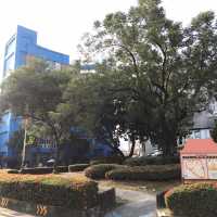 Anna King Hotel 
