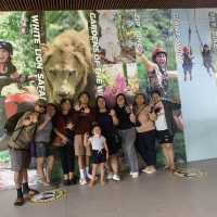 Wild Cebu Experience