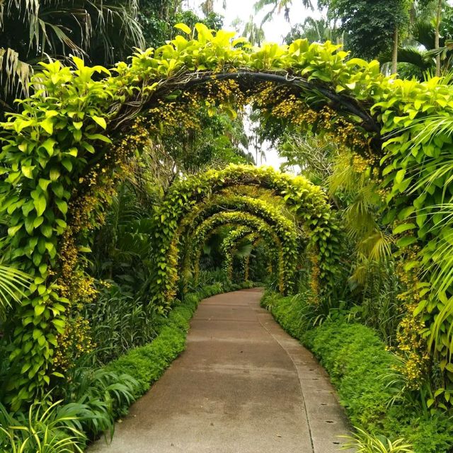 Singapore Botanical Garden 🏡