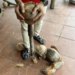 Mekong張用戶圖片