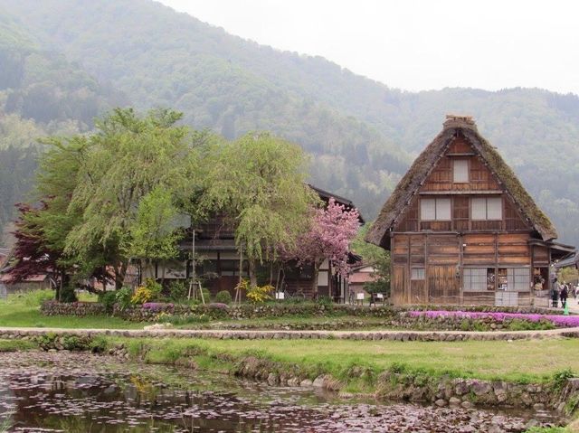 遊日本· 岐阜縣白川鄉