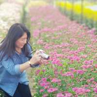 เที่ยวสวนดอกไม้​🌷🌻 