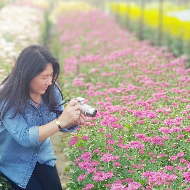 เที่ยวสวนดอกไม้​🌷🌻 
