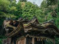 日本一複雑な屋根?! 福井の大瀧神社・岡太神社