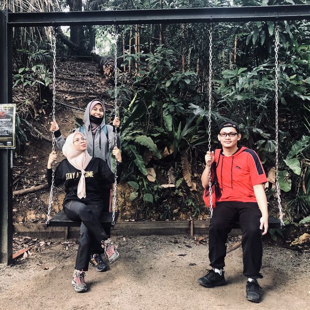 ; Hidden Forest Trail in Kuala Lumpur!🌿