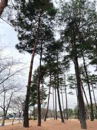 산책하기 좋은 일산 호수공원