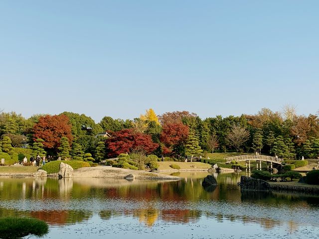 花田苑の紅葉