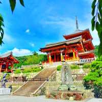 #Kiyomizudera temple in Summer♥️.