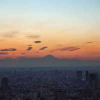 Tokyo City View-不要錯過的展望台
