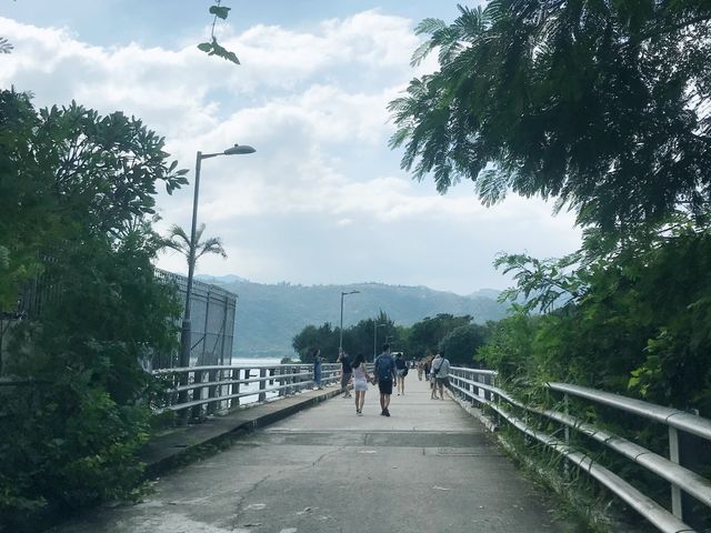🐬離島自然歷史徑 – 坪洲段 嘆海景🌊 🐬離島自然歷史徑 – 坪洲段 嘆海景🌊