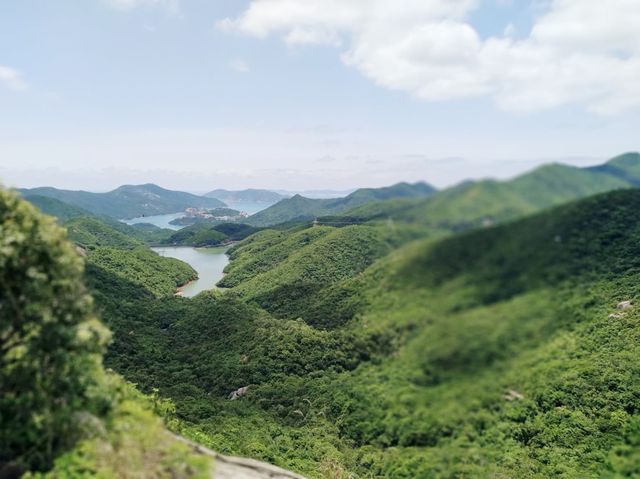 鰂魚涌坳