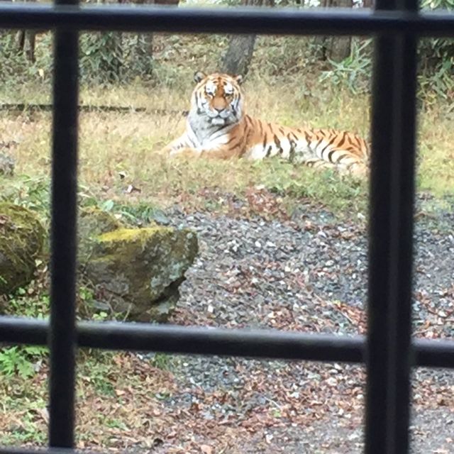 富士サファリパークのかわいい動物たち