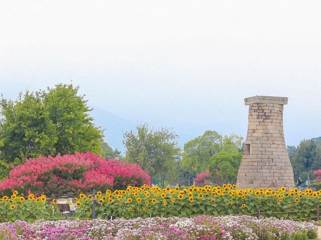 해바라기를 품은 첨성대에서 인생샷🌻💛