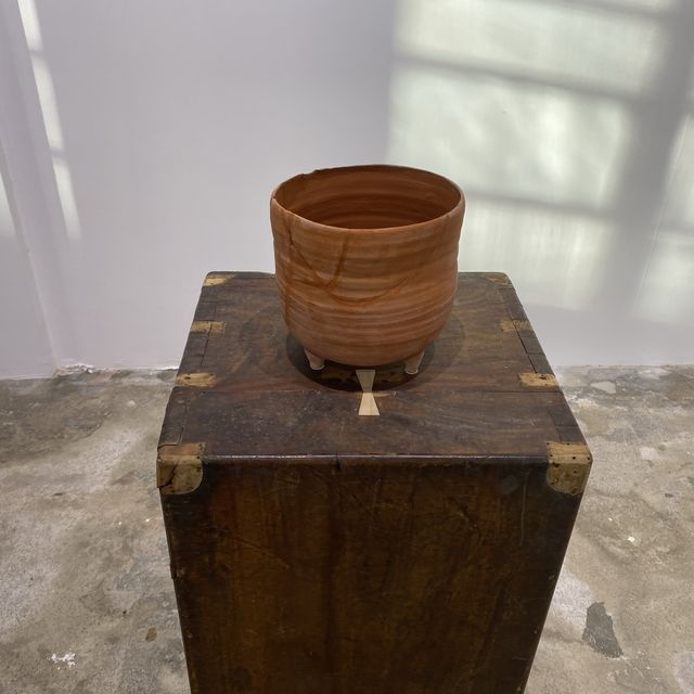土沉香樹展覽 🌳 