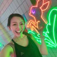 SGNIGHTFEST ✨Scenic lights Trail 