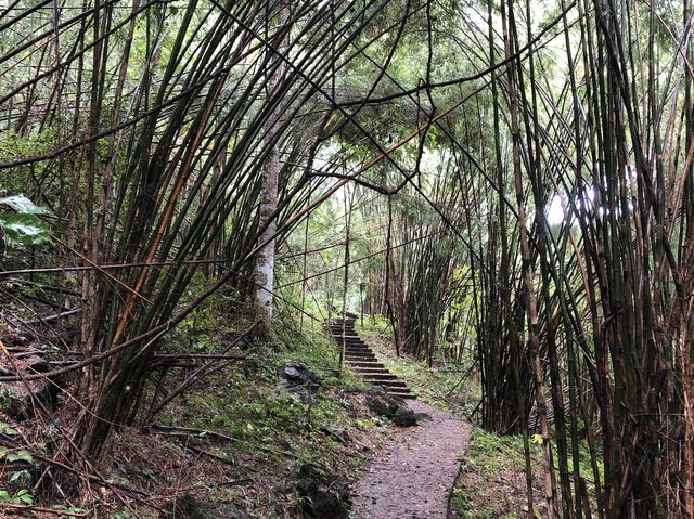 best national park in Thailand! 