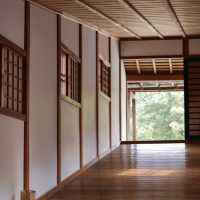 【和歌山城】自然とたわむれる公園