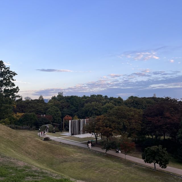 韓国/ソウル【オリンピック公園】韓国の秋🧡オレンジのコスモス畑